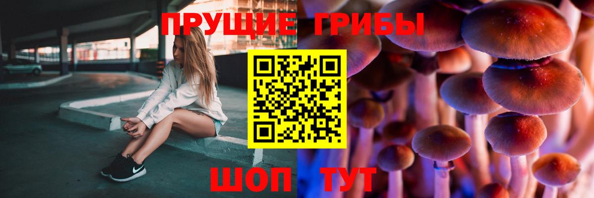 Орехово-Зуево  Псилоцибиновые грибы MAGIC MUSHROOMS  продажа наркотиков  Вход с VPN 